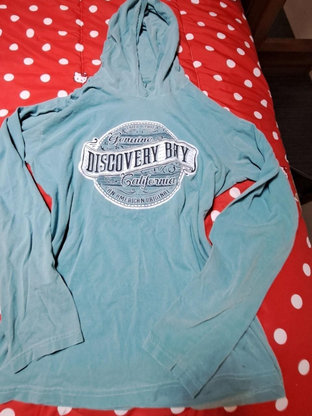 Hollister Teal Hooded Long-Sleeve Pullover with Graphic Logo